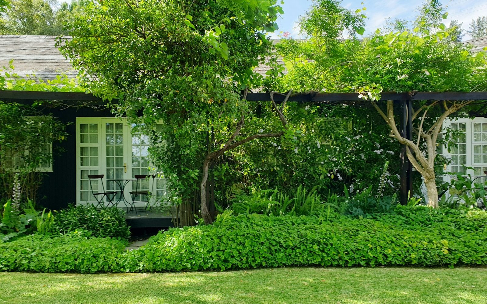 Moderne Website für Immobilienmakler, Beispielansicht: Einstöckiges Haus mit Sprossentüren, Pergola und dicht bewachsenem Garten, davor ein gemähter Rasen in der Sonne
